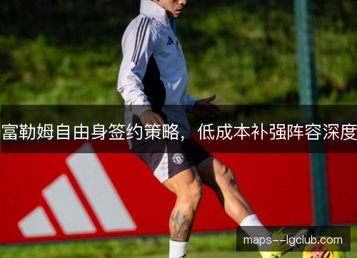 富勒姆自由身签约策略,低成本补强阵容深度 富勒姆自由身签约策略,低成本补强阵容深度